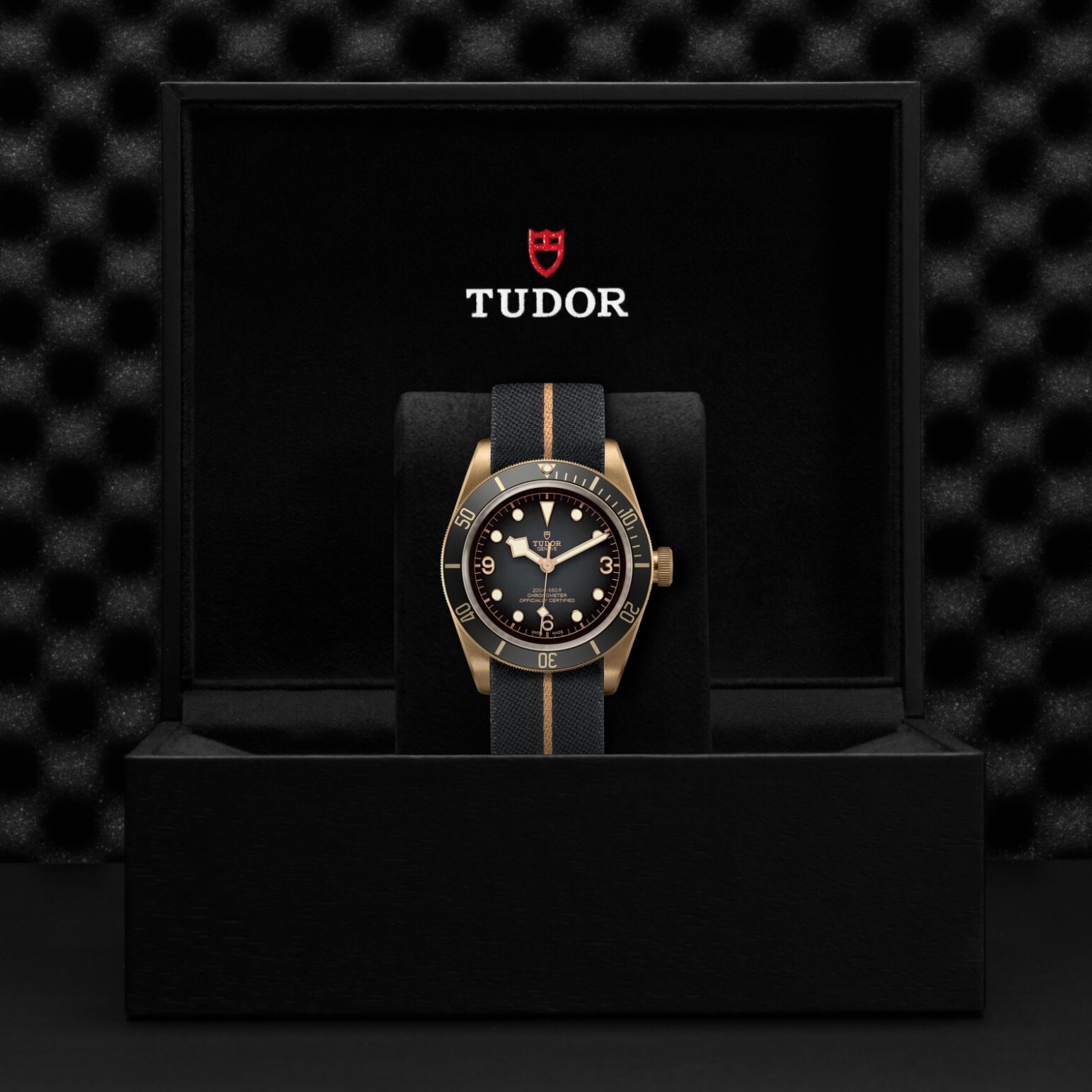 Black Bay Bronze - Image 4
