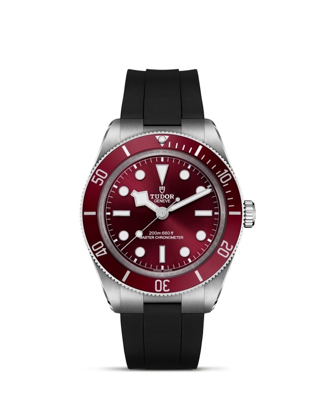 Black Bay 58 M7939A1A0RU-0003 Official Tudor Watch Jeweler Grand Rapids